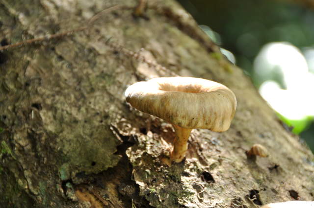 DSC_0068.JPG