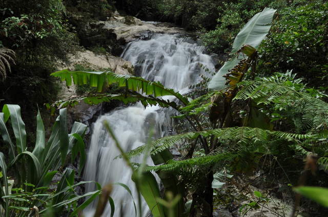 Robinson Falls, Tanah Rata