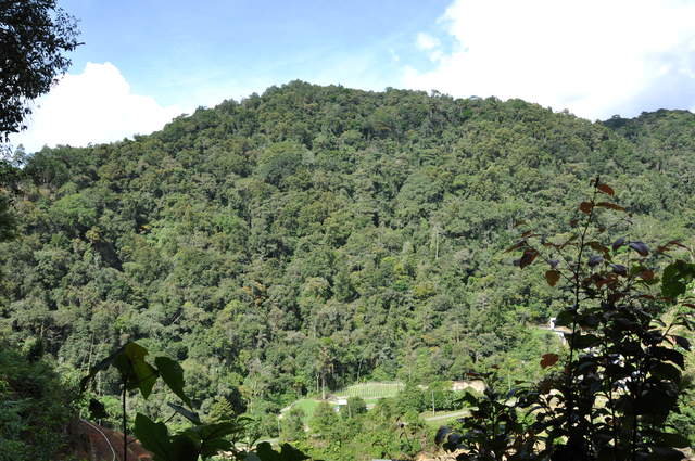 DSC_0081.JPG