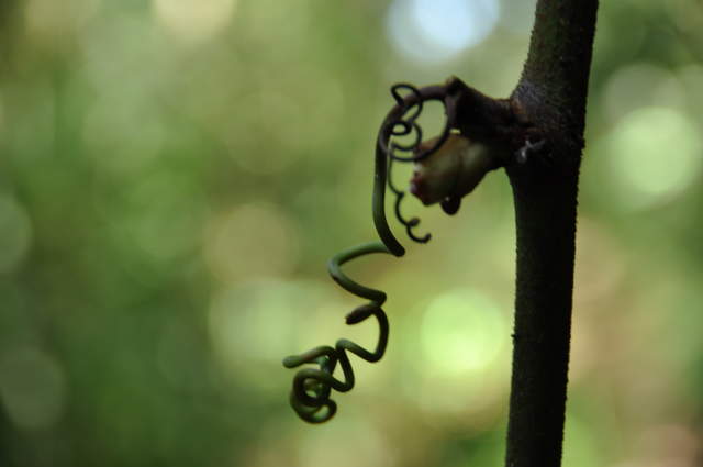 DSC_0056.JPG