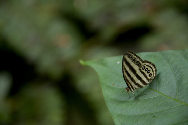 DSC_0136.JPG