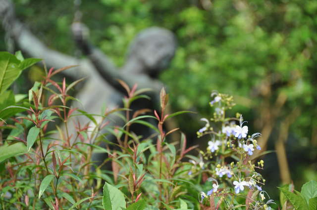 DSC_0017.JPG