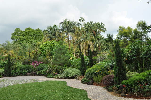 DSC_0079.JPG