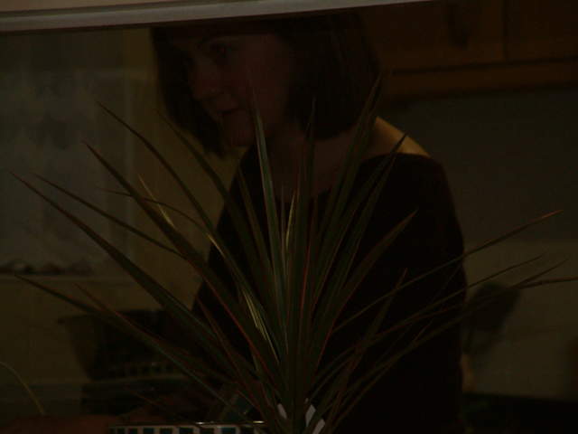 DSCF0150.JPG