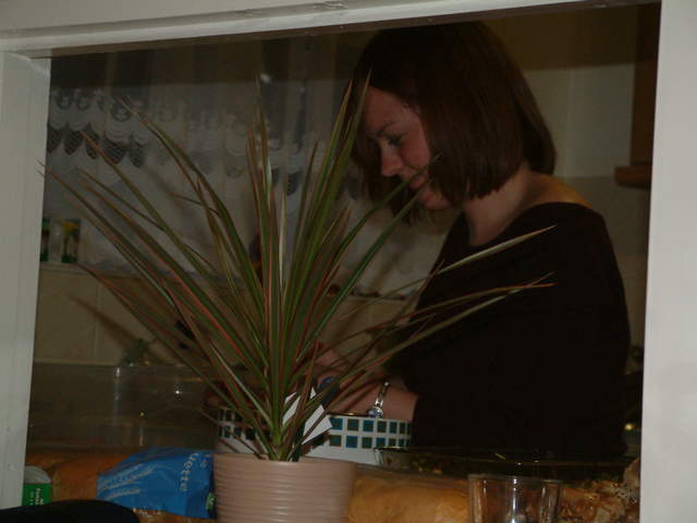 DSCF0151.JPG