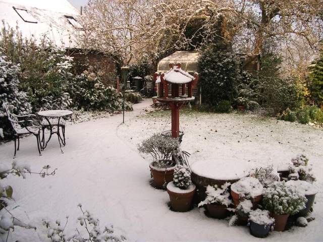 snow-november2010-001.jpg