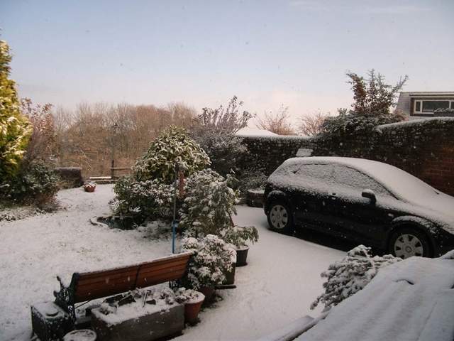 snow-november2010-002.jpg
