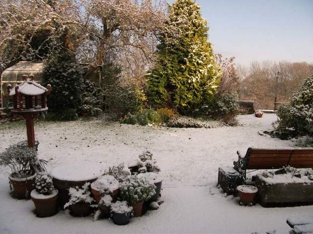 snow-november2010-003.jpg