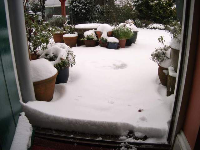 snow-november2010-005.jpg