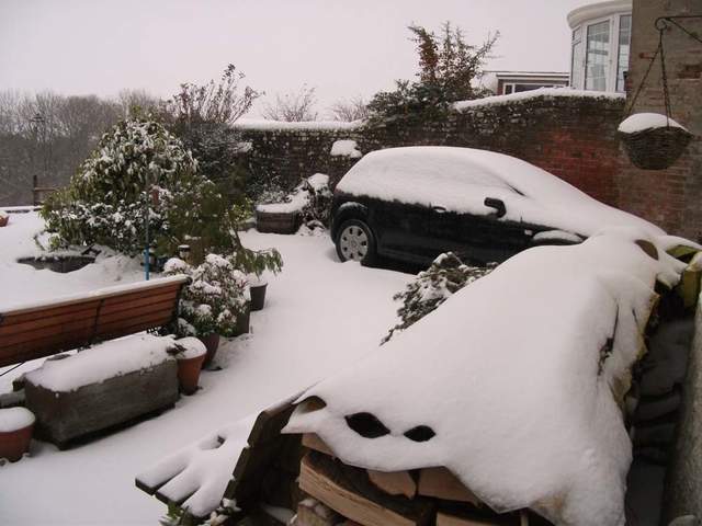 snow-november2010-006.jpg