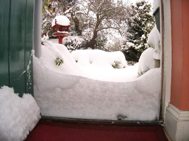 snow-november2010-011.jpg