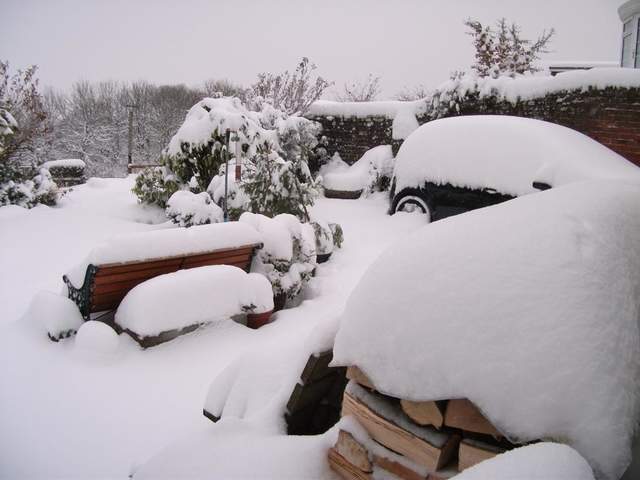 snow-november2010-012.jpg