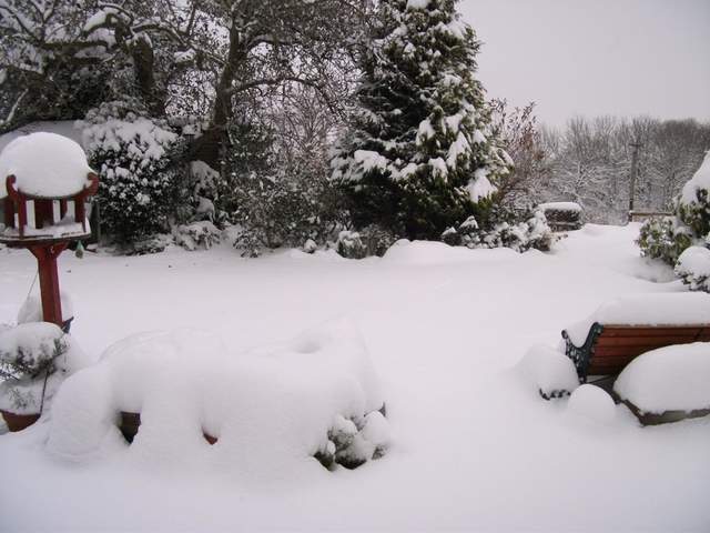 snow-november2010-013.jpg