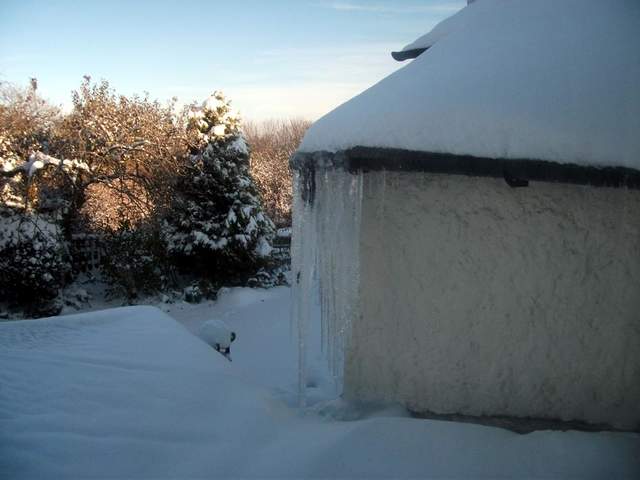 snow-november2010-015.jpg