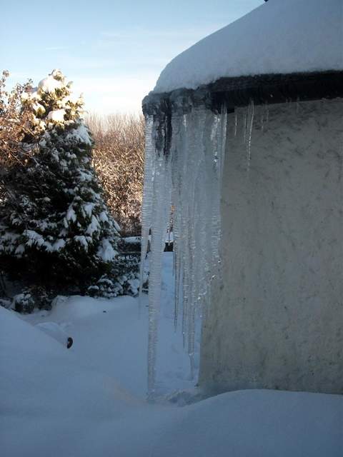 snow-november2010-016.jpg