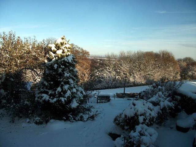 snow-november2010-017.jpg