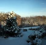 snow-november2010-017.jpg