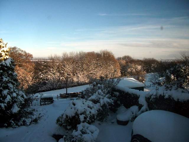 snow-november2010-018.jpg