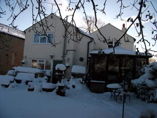 snow-november2010-020.jpg