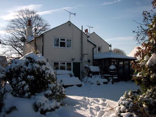 snow-november2010-021.jpg