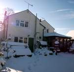 snow-november2010-024.jpg