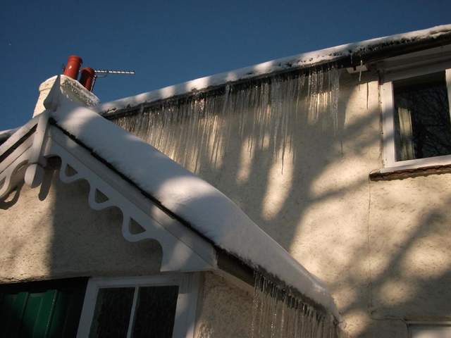 snow-november2010-027.jpg
