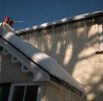 snow-november2010-027.jpg