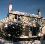 snow-november2010-029.jpg
