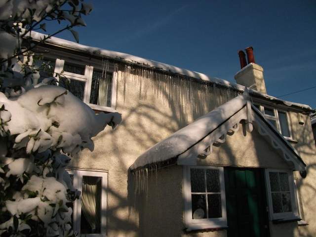 snow-november2010-030.jpg