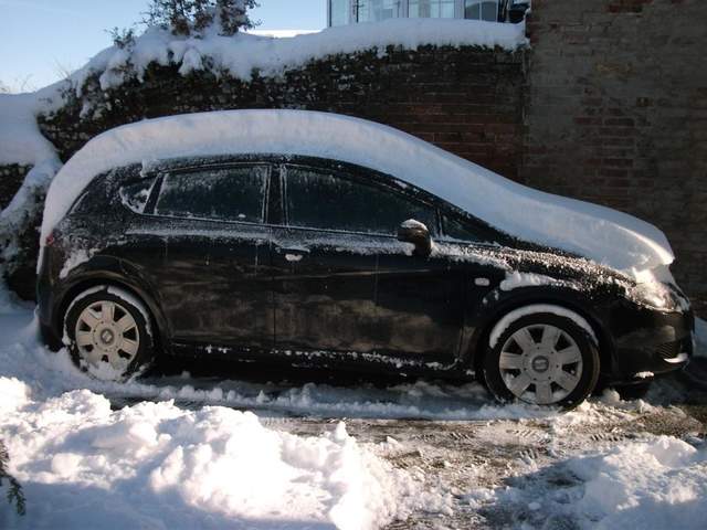 snow-november2010-032.jpg