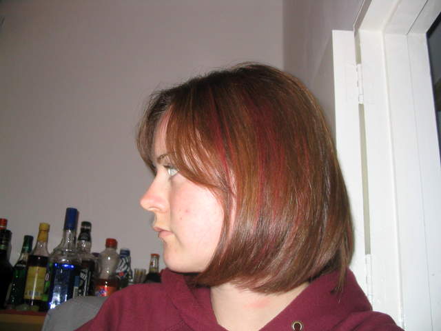 Hair2004 001