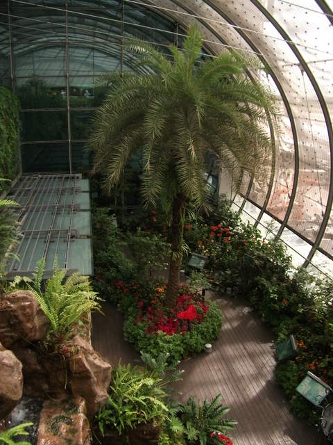 The butterfly House, Changi Airport