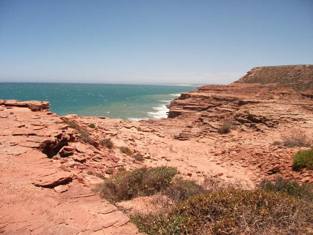 australia2011 059.jpg