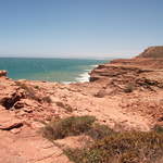 australia2011 059.jpg