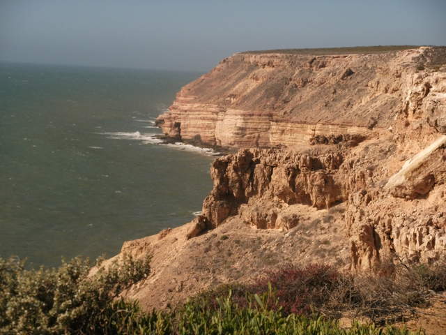 australia2011 076.jpg