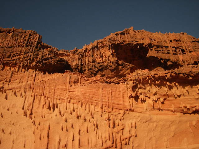 australia2011 097.jpg