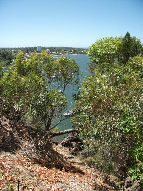 australia2011 134.jpg