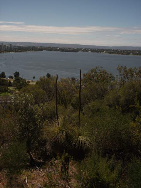 australia2011 159.jpg