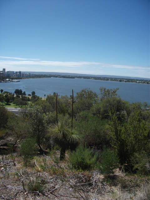 australia2011 160.jpg