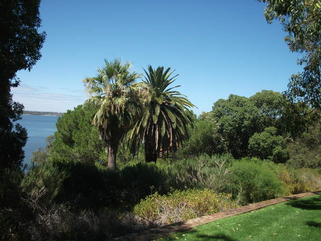 australia2011 178.jpg